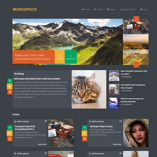 MyThemeShop Monospace WordPress Theme - Download $4.49