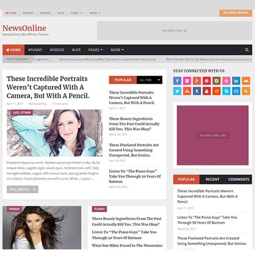 MyThemeShop NewsOnline WordPress Theme - Download $4.49