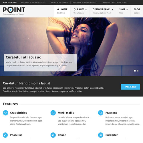 MyThemeShop Point Pro WordPress Theme - Download $4.49