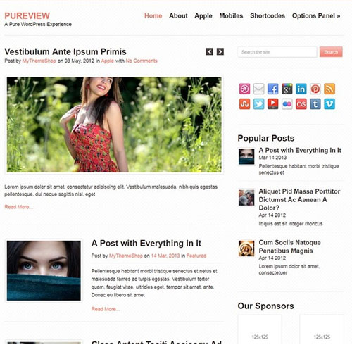MyThemeShop Pureview WordPress Theme - Download $4.49