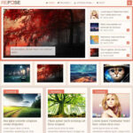 MyThemeShop Repose WordPress Theme - Download $4.49