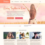 MyThemeShop Salvation WordPress Theme - Download $4.49