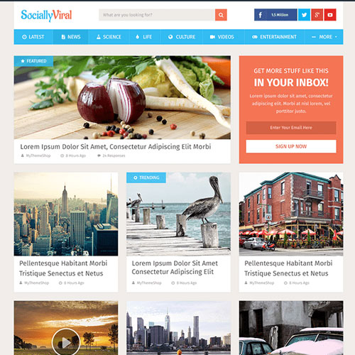MyThemeShop SociallyViral WordPress Theme - Download $4.49 MyThemeShop SociallyViral WordPress Theme - Download $4.49