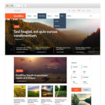 MyThemeShop SocialNow WordPress Theme - Download $4.49