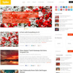 MyThemeShop Spike WordPress Theme - Download $4.49