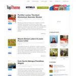 MyThemeShop Top WordPress Theme - Download $4.49