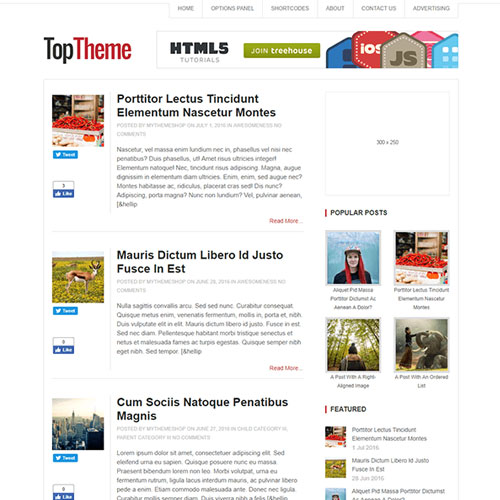 MyThemeShop Top WordPress Theme - Download $4.49
