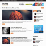 MyThemeShop Wildfire WordPress Theme - Download $4.49