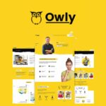 Owly - Tutoring & eLearning WP Theme $4.49