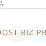 Theme Palace Boost Biz Pro