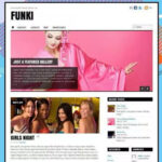 Themify Funki WordPress Theme - Download $4.49