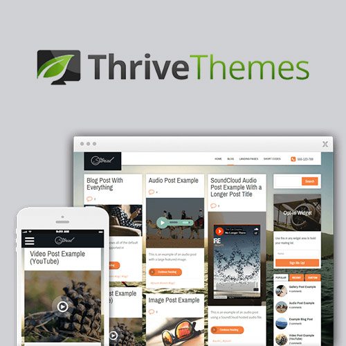 Thrive Themes Storied WordPress Theme - Download $4.49